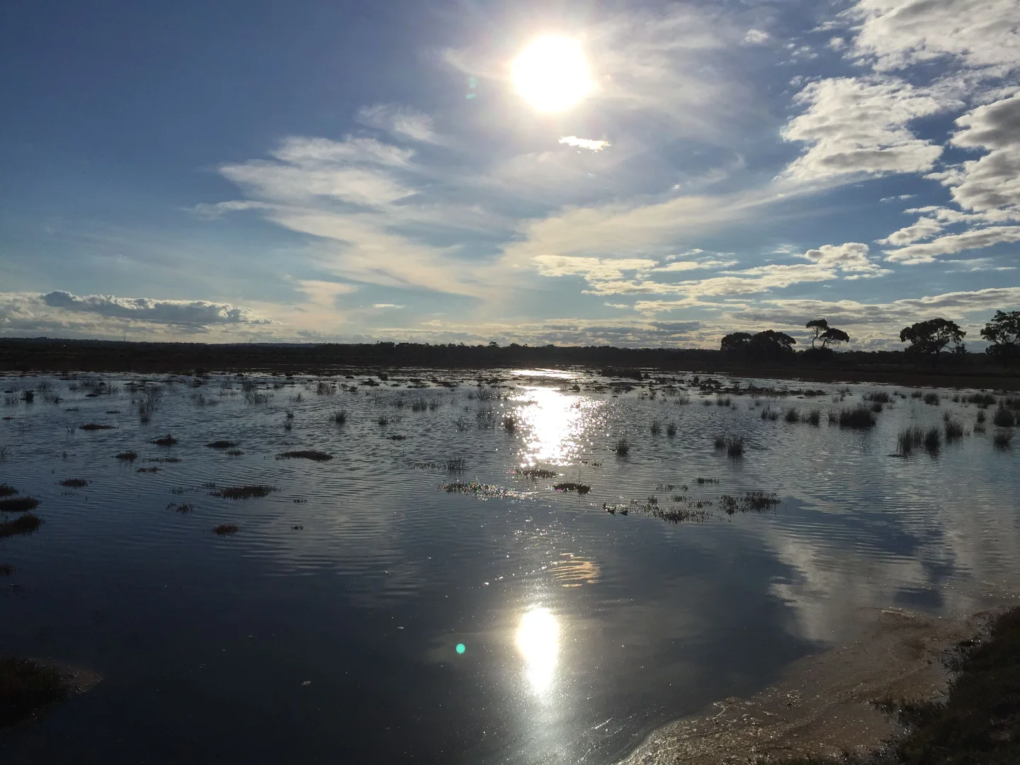 Additional image 26 of 111 CRAIGS LANE, Pearcedale VIC 3912