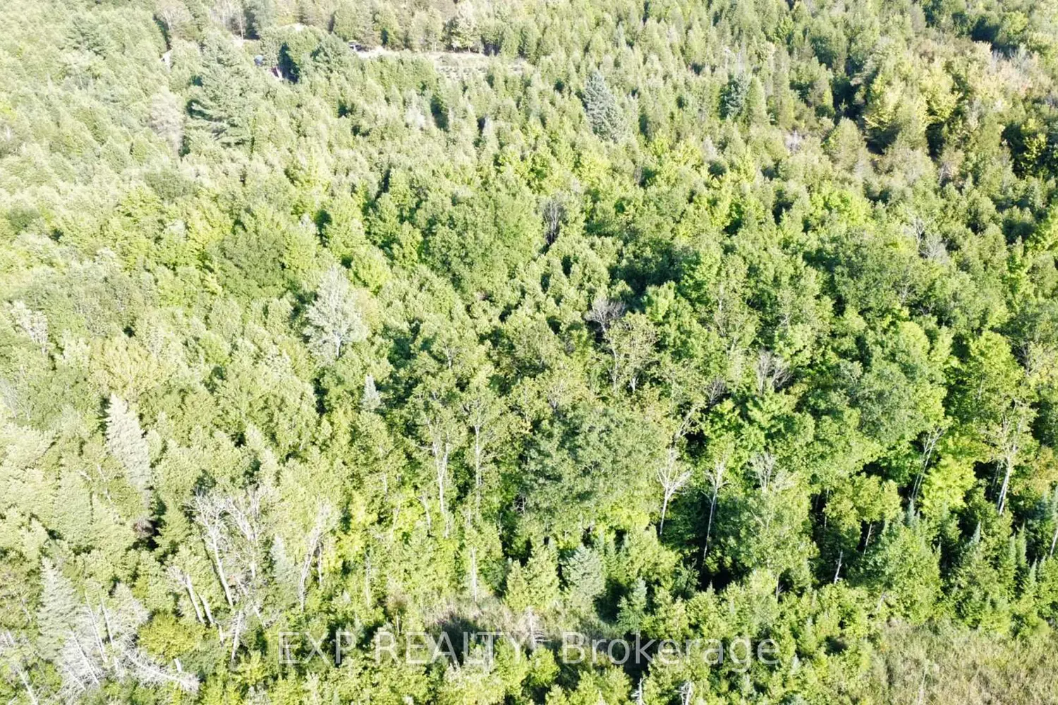 Additional image 3 of 2822 Shannon Road