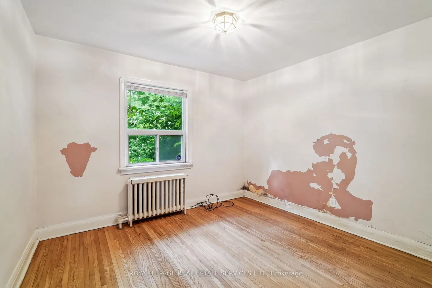 Additional image 12 of 326 Lawrence Avenue