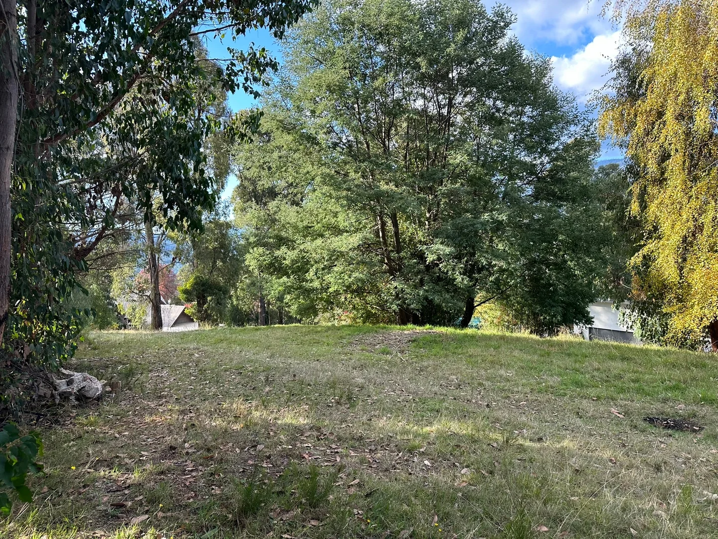 Additional image 5 of 3 Kings Road, Marysville VIC 3779