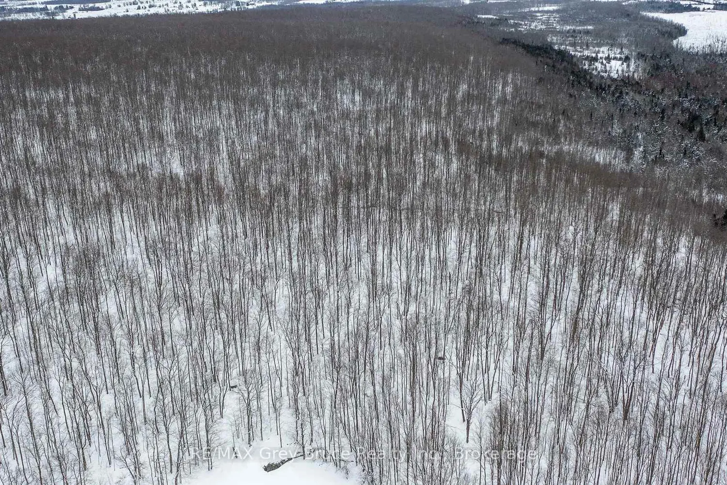 Additional image 13 of Lt 34 Con 23, Concession 24