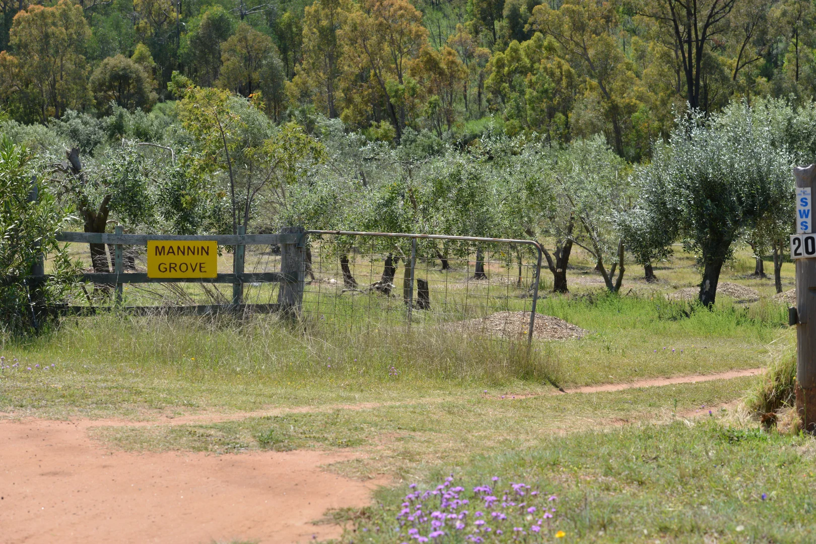 Additional image 23 of 20 Kurrajong Road, Coonabarabran NSW 2357