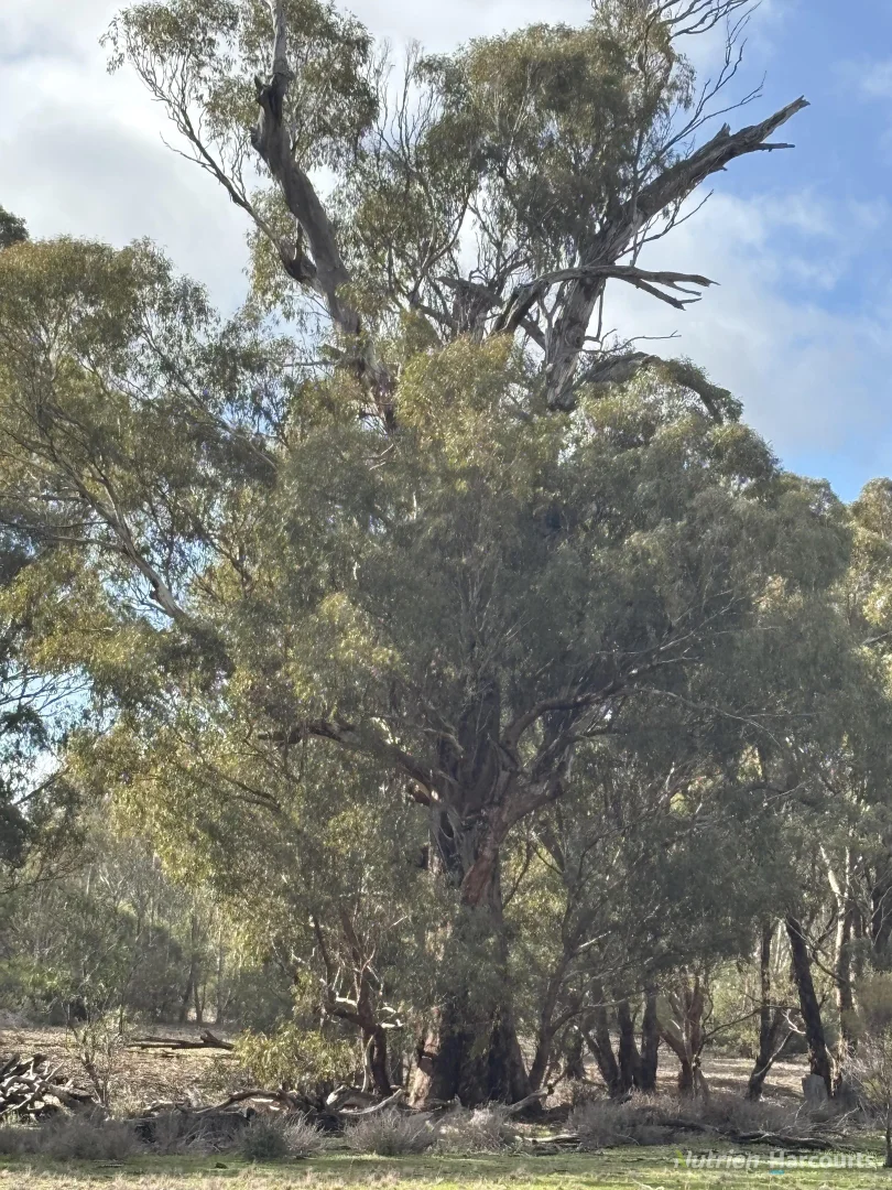 Additional image 3 of Lot 1 Wedderburn-Serpentine Road, Glenalbyn VIC 3517