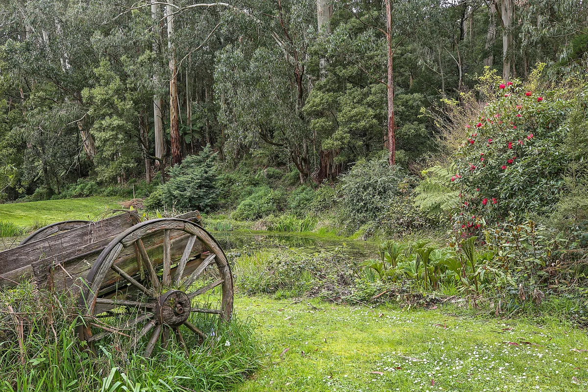 Additional image 26 of 3360 Colac-Lavers Hill Road, Ferguson VIC 3237