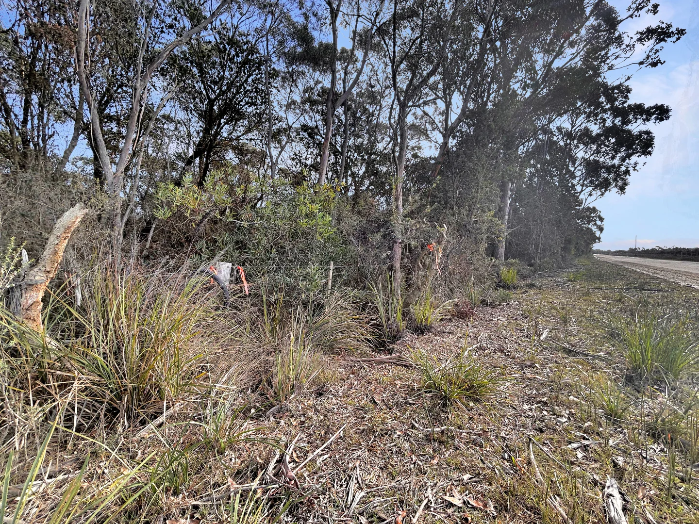 Additional image 9 of PID 7384430 North Ansons Road, Gladstone TAS 7264