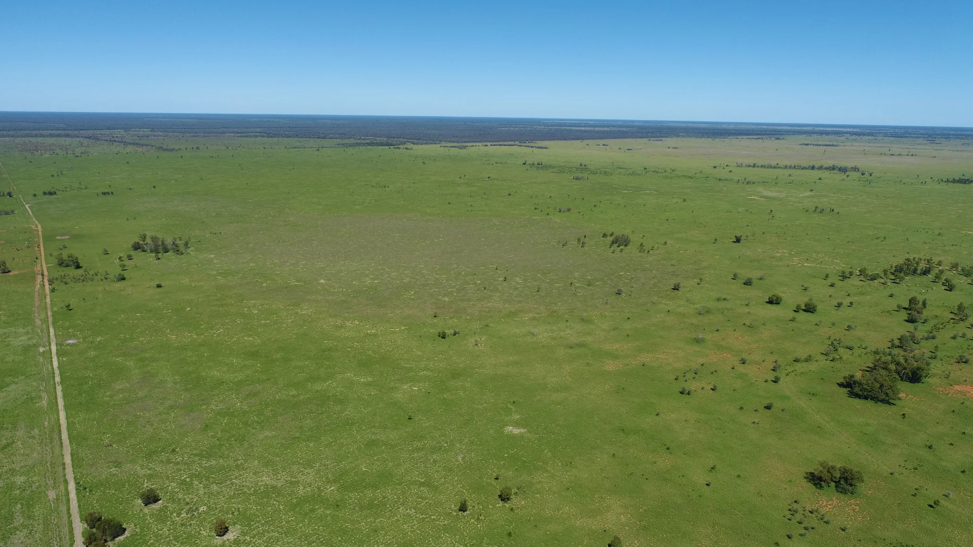 Additional image 39 of "Bonavista" 13724 Mitchell - St George road, Roma QLD 4455