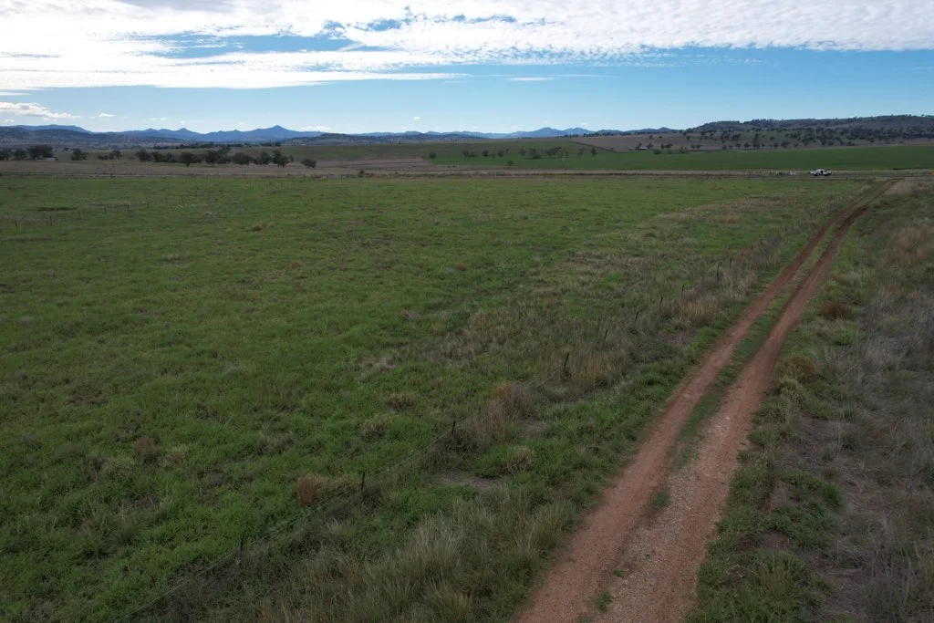 Additional image 3 of 31, 6201 Scone Road, Merriwa NSW 2329