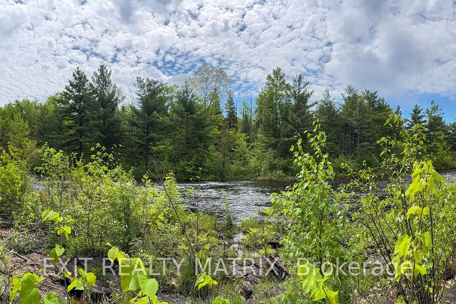 Additional image 11 of 12654 Lanark Road