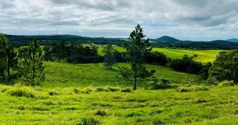 Additional image 32 of 1297 Mossman-Mount Molloy Road, Julatten QLD 4871