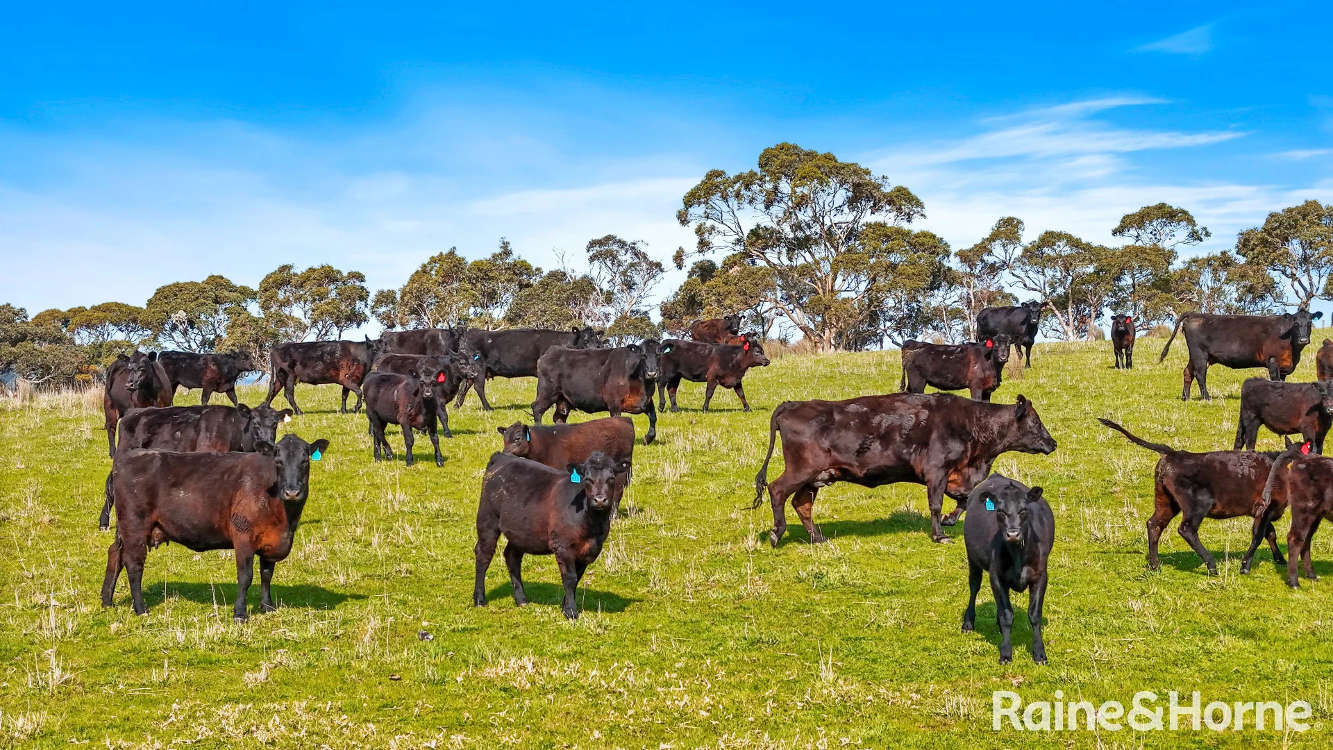 Additional image 14 of 228 Hutchinson Road, Hindmarsh Valley SA 5211