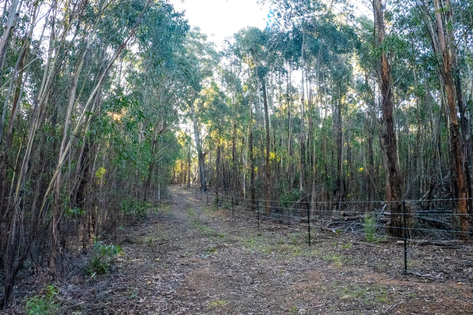 Additional image 34 of 1974 Tuross Road, Kybeyan NSW 2631