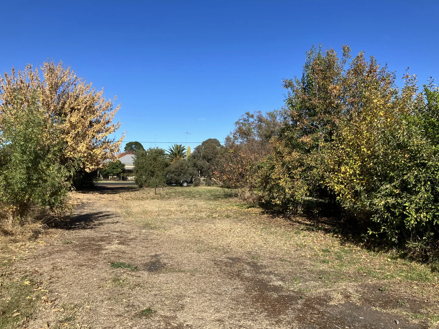 Additional image 2 of Proposed 144 Elizabeth Street, Edenhope VIC 3318