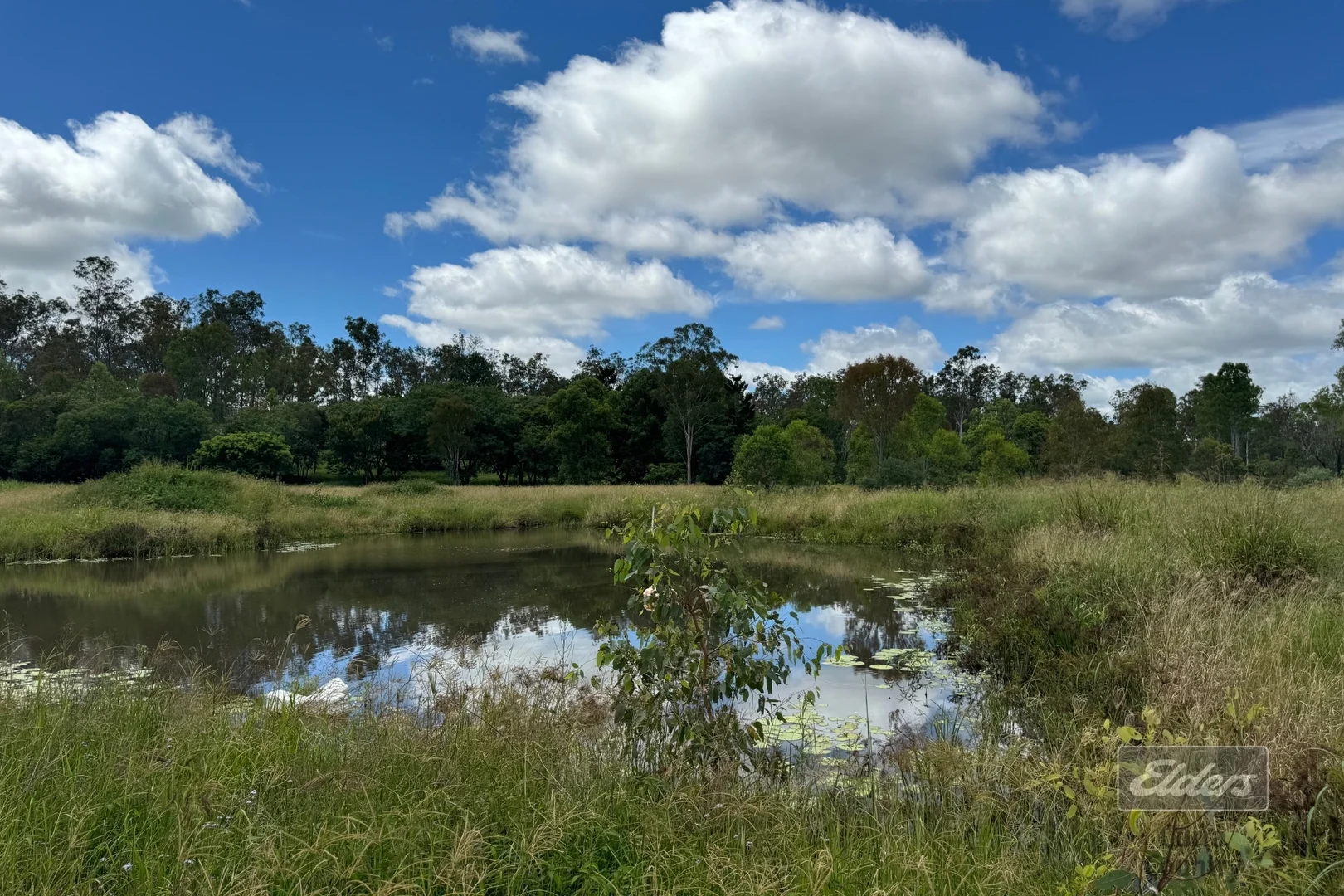 Additional image 6 of 288 Blowers Road, Munna Creek QLD 4570