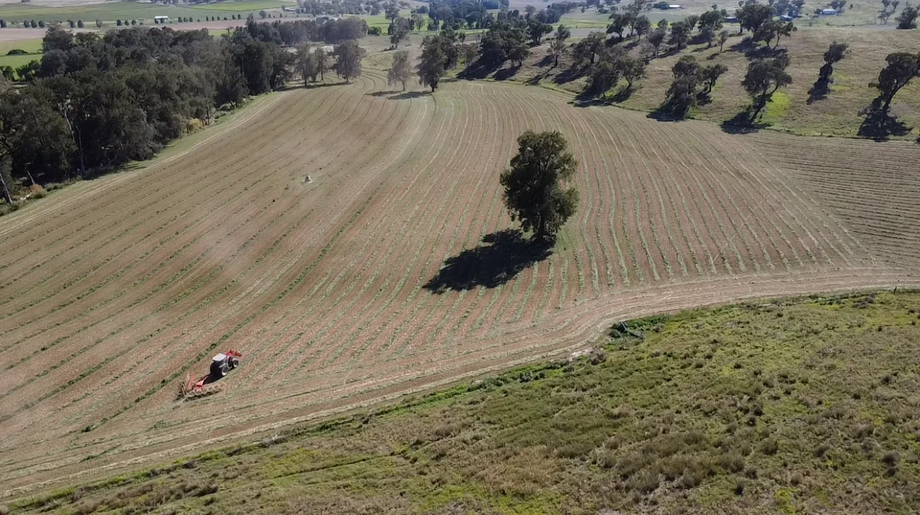 Additional image 14 of 2350 George Russell Drive, Canowindra NSW 2804