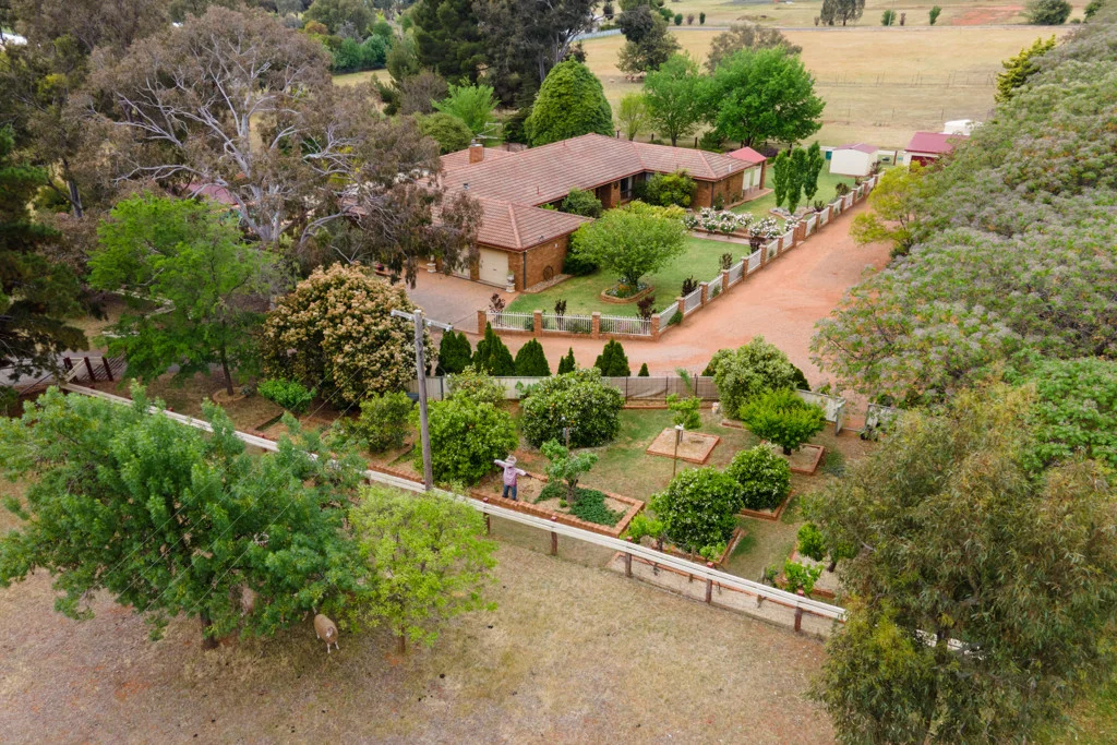 Additional image 15 of 15-25 Joffre Street, Temora NSW 2666