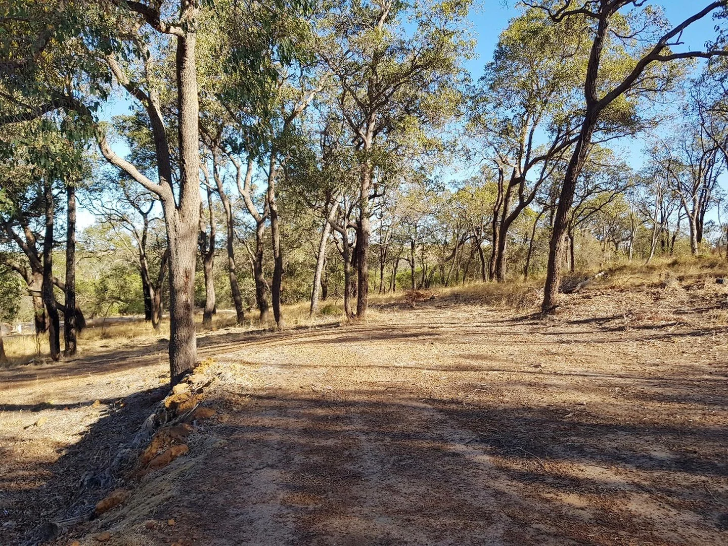 Additional image 14 of 1588 Cantabilling Road, Jurien Bay WA 6516