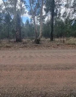 Additional image 4 of 9 Everton Road, Gilgandra NSW 2827