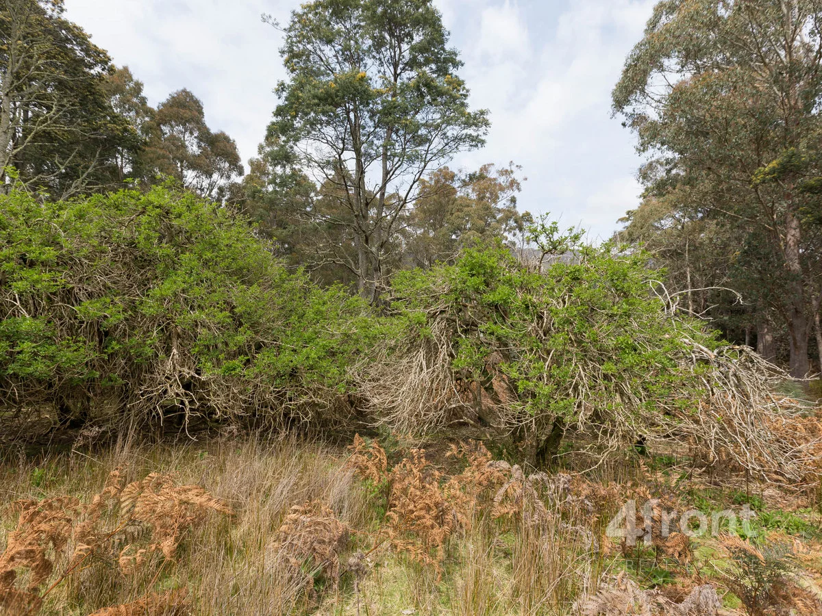 Additional image 16 of 1 and 2/141 Tiers View Road, Golden Valley TAS 7304