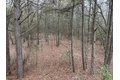 Additional image 17 of Old Bradley Rd, Mardela Springs, MD, 21837