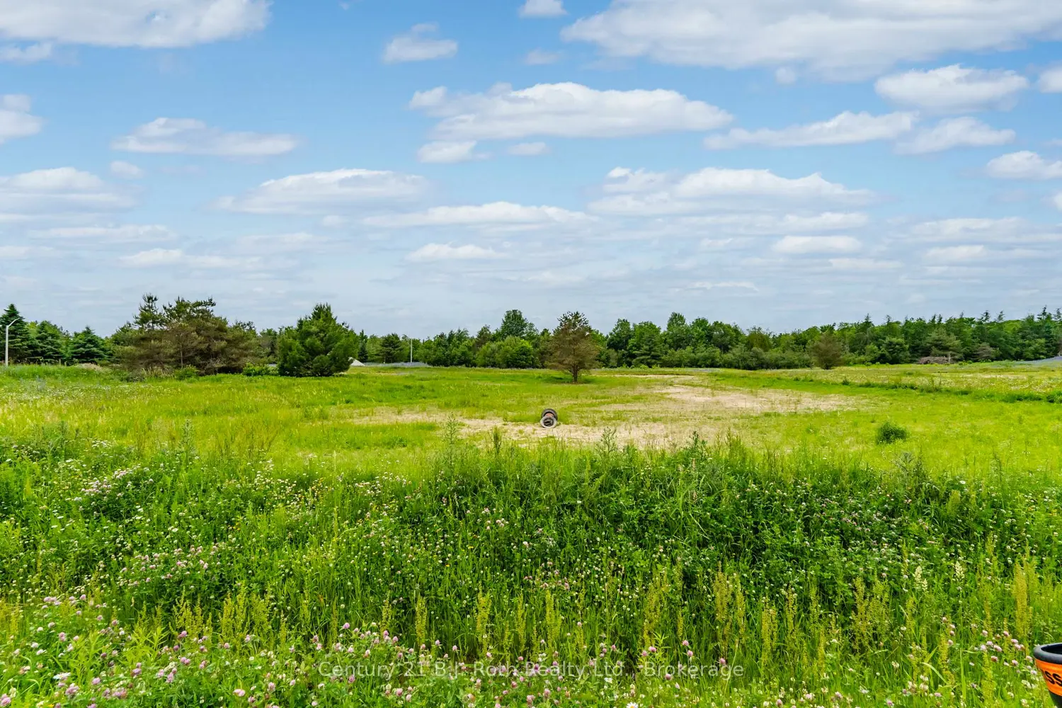 Additional image 7 of 4 Rumble Court
