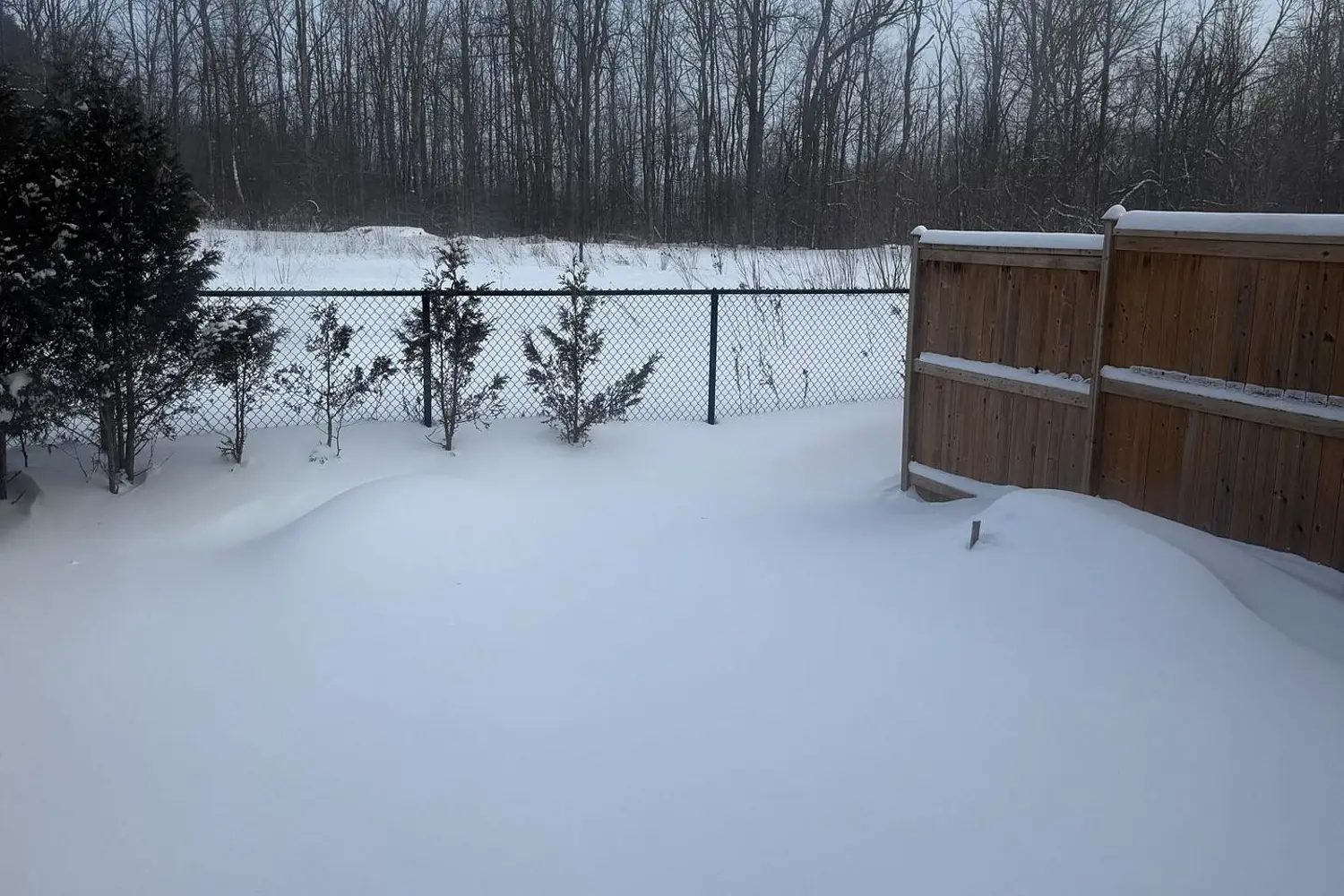 Additional image 13 of 123 Samuel Drive