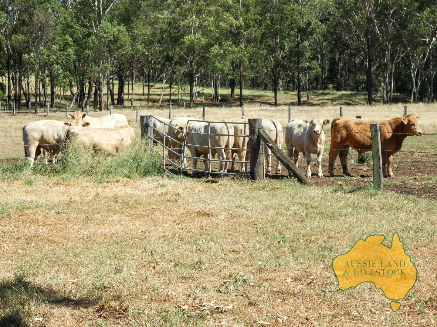 Additional image 82 of 629 Stuart Valley Drive, Haly Creek QLD 4610