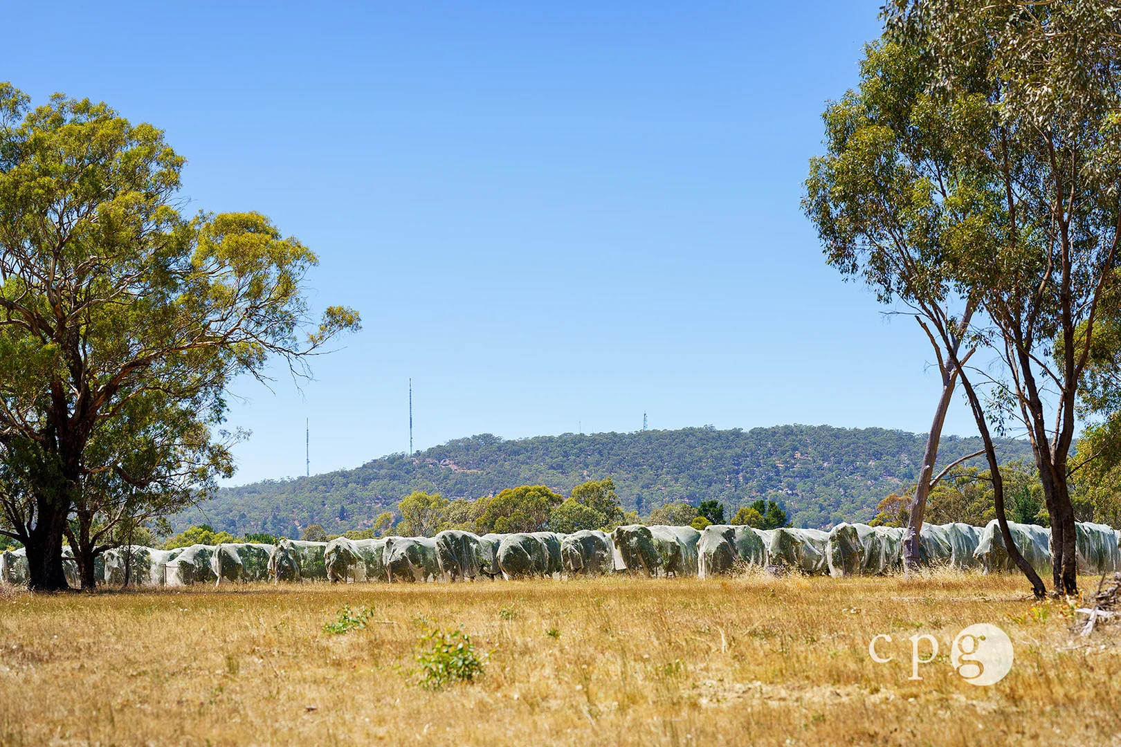 Additional image 10 of 80 Mills Road, Harcourt VIC 3453