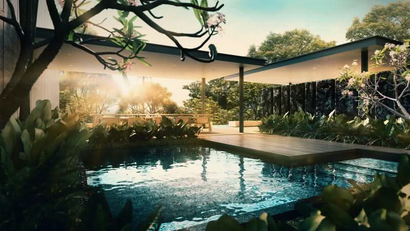 Additional image 11 of 45 Amber Road