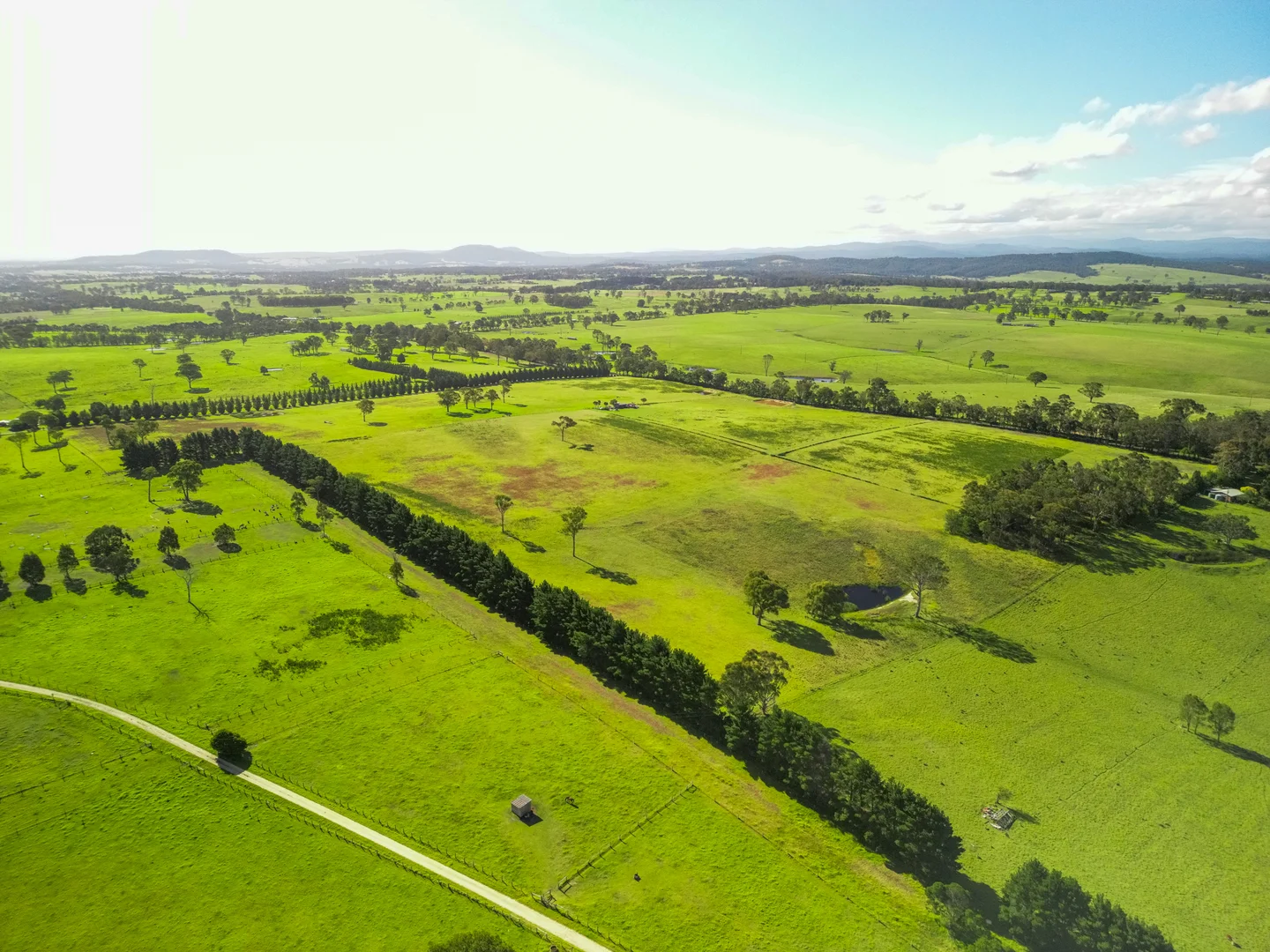 Additional image 7 of 500 Olivers Rd, Nicholson VIC 3882