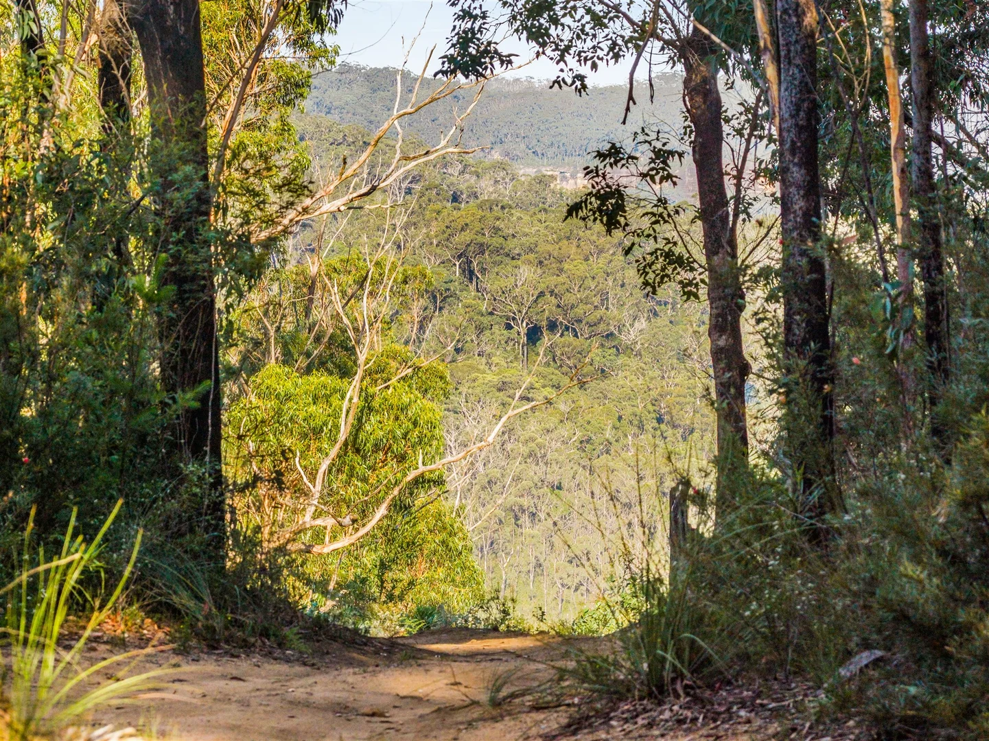 Additional image 3 of 161 Teudts Road, Bundanoon NSW 2578