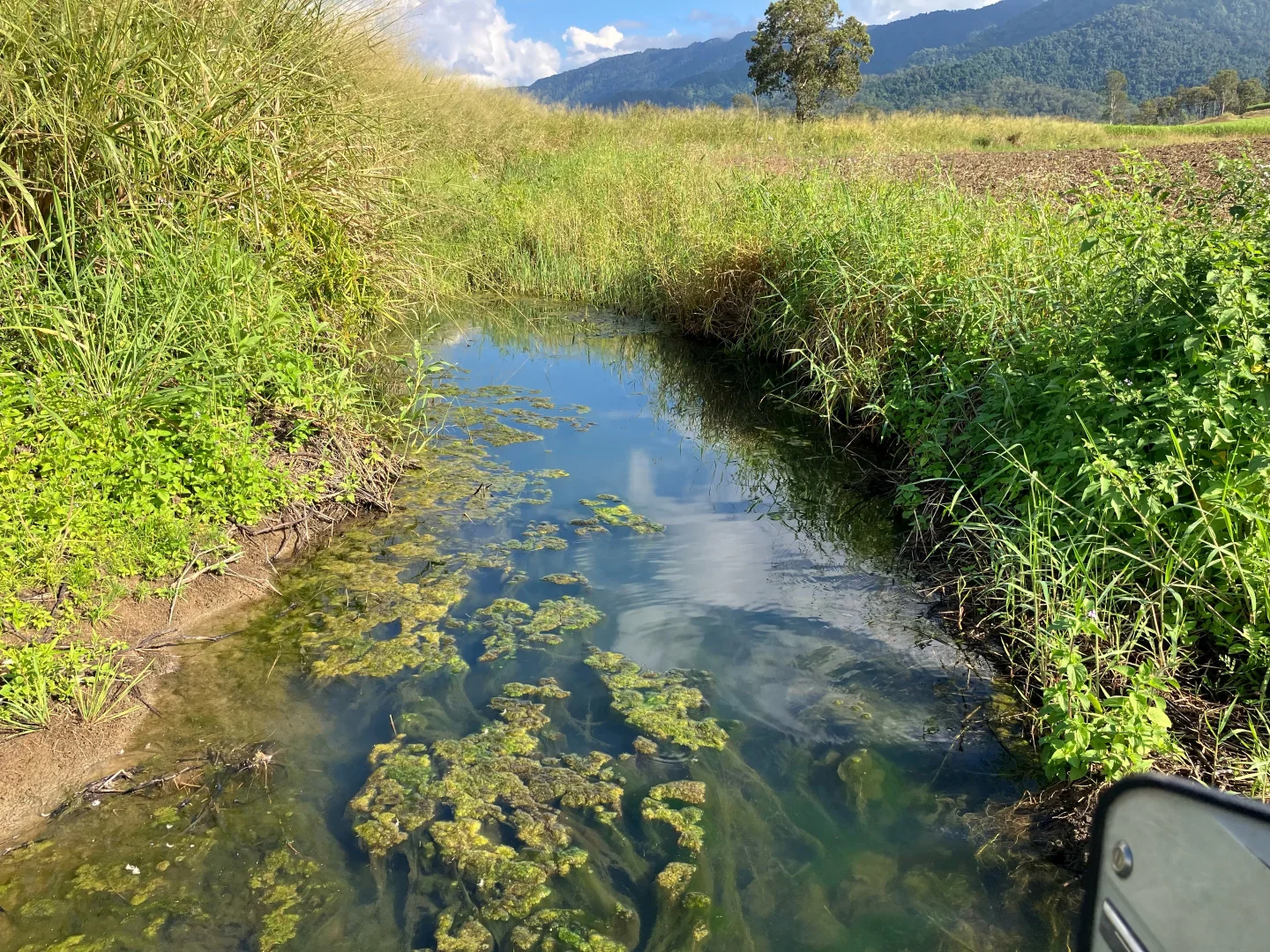 Additional image 35 of Finch Hatton QLD 4756