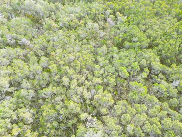 342 Ninth Ave, French Island VIC 3921