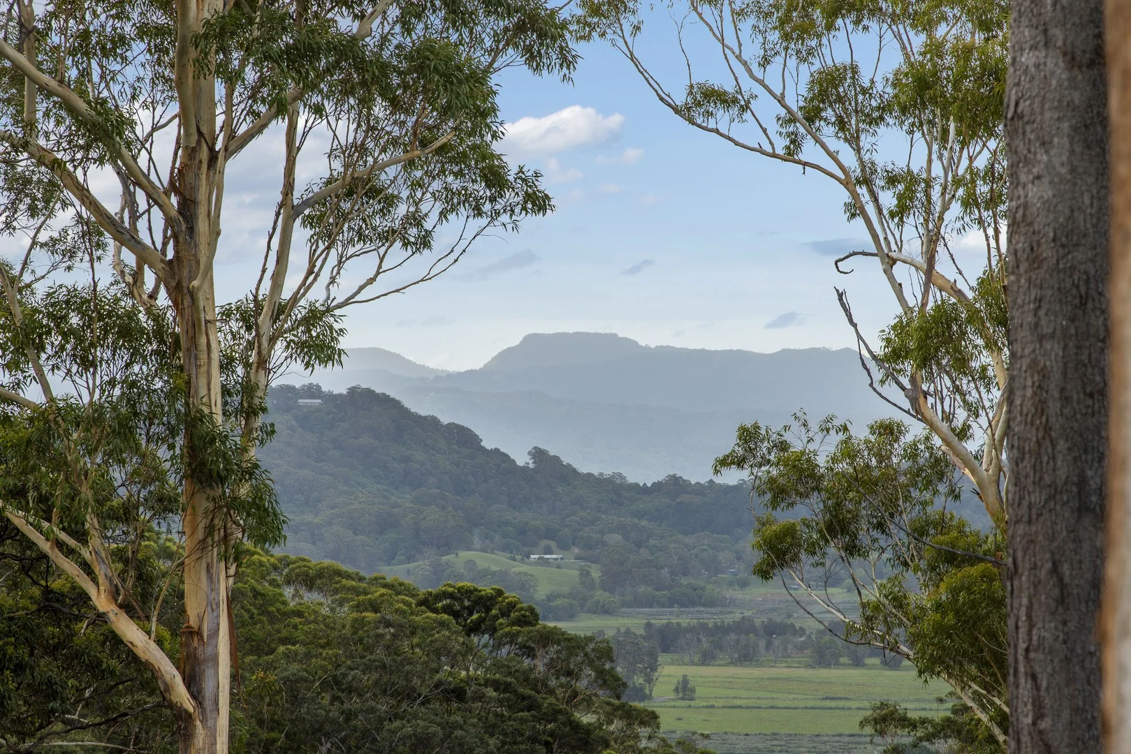 1-9/11 Tanglewood Drive, Tanglewood NSW 2488