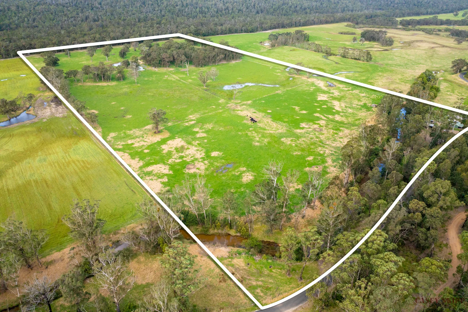 Additional image 21 of 366 Wairewa Road, Wairewa VIC 3887