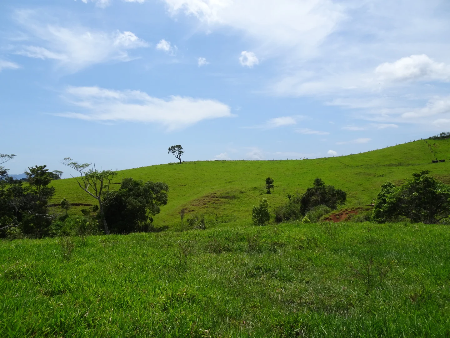 Additional image 7 of 343 Gadaloff Road, Butchers Creek QLD 4885