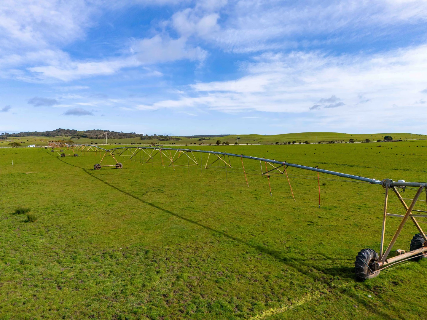 Additional image 4 of Rushy Lagoon TAS 7264