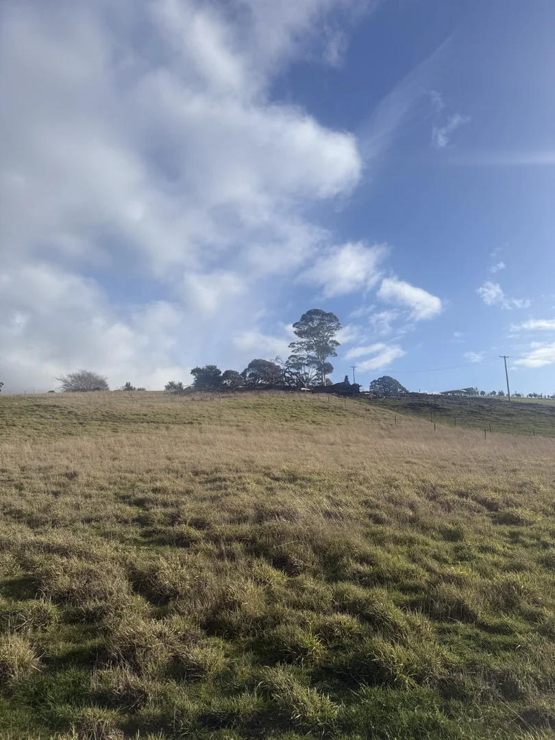 Additional image 4 of 12 Quamby Brook Road, Deloraine TAS 7304