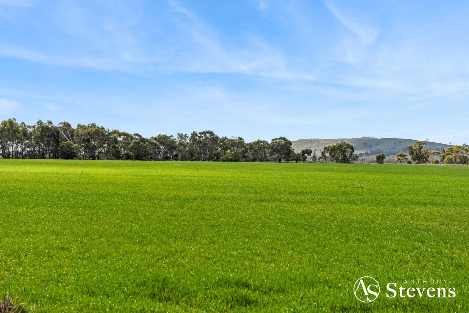 Additional image 31 of 499 Old Wedderburn Road, Slaty Creek VIC 3477