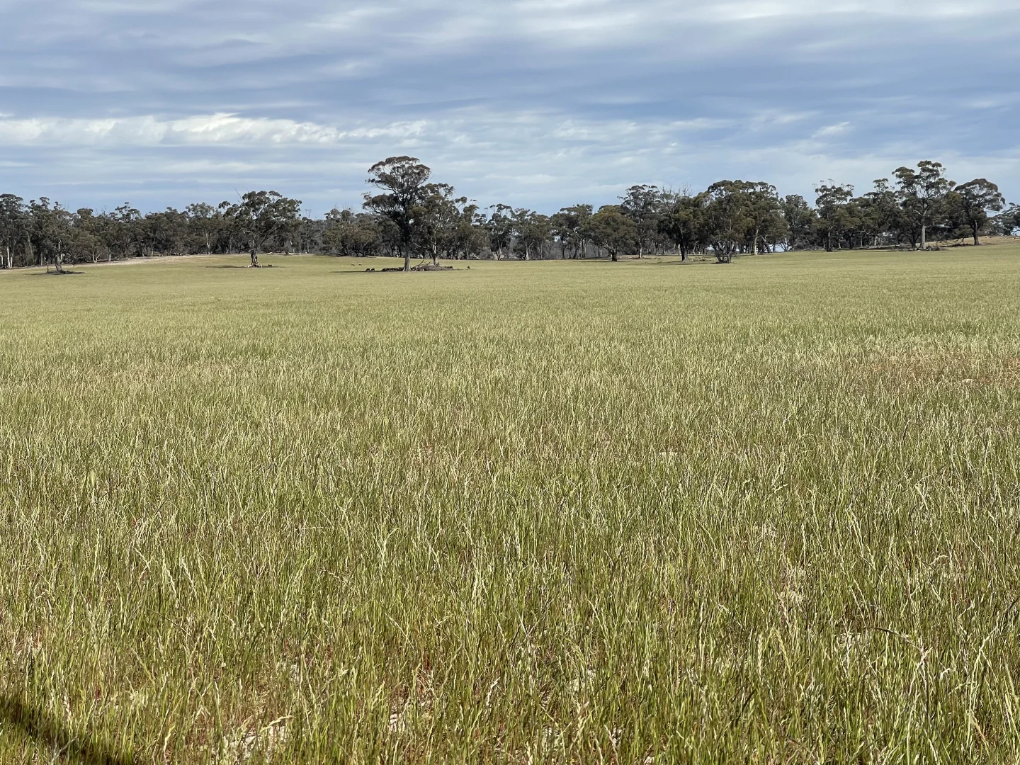 Additional image 13 of 0 Mathison Road, Gre Gre South VIC 3477