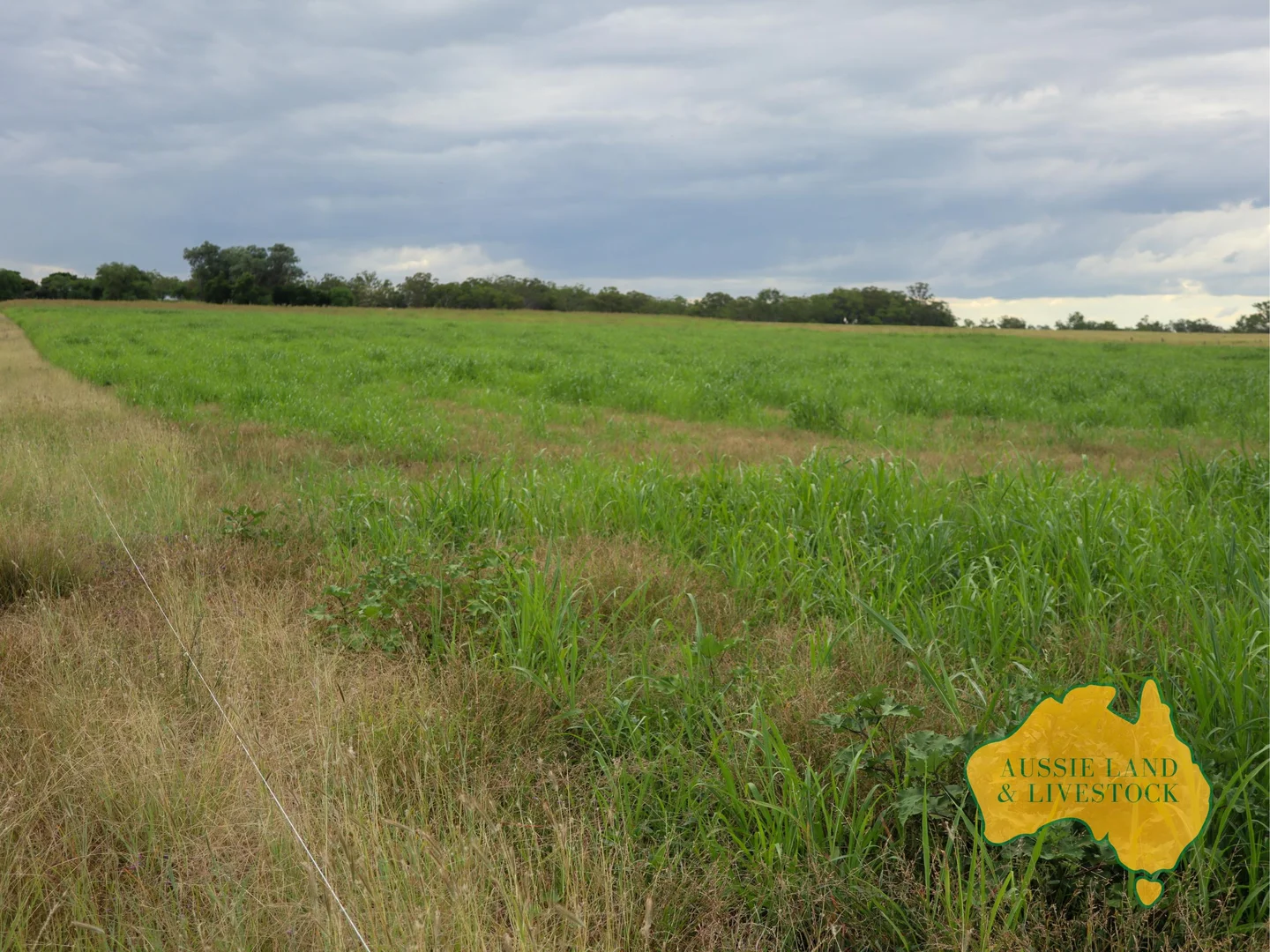 Additional image 73 of 629 Stuart Valley Drive, Haly Creek QLD 4610