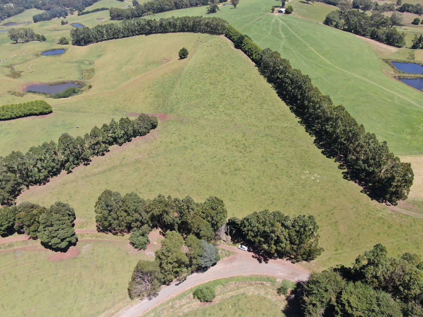 Additional image 4 of Lot 1/140 Clear Creek Valley Road, Mirboo North VIC 3871