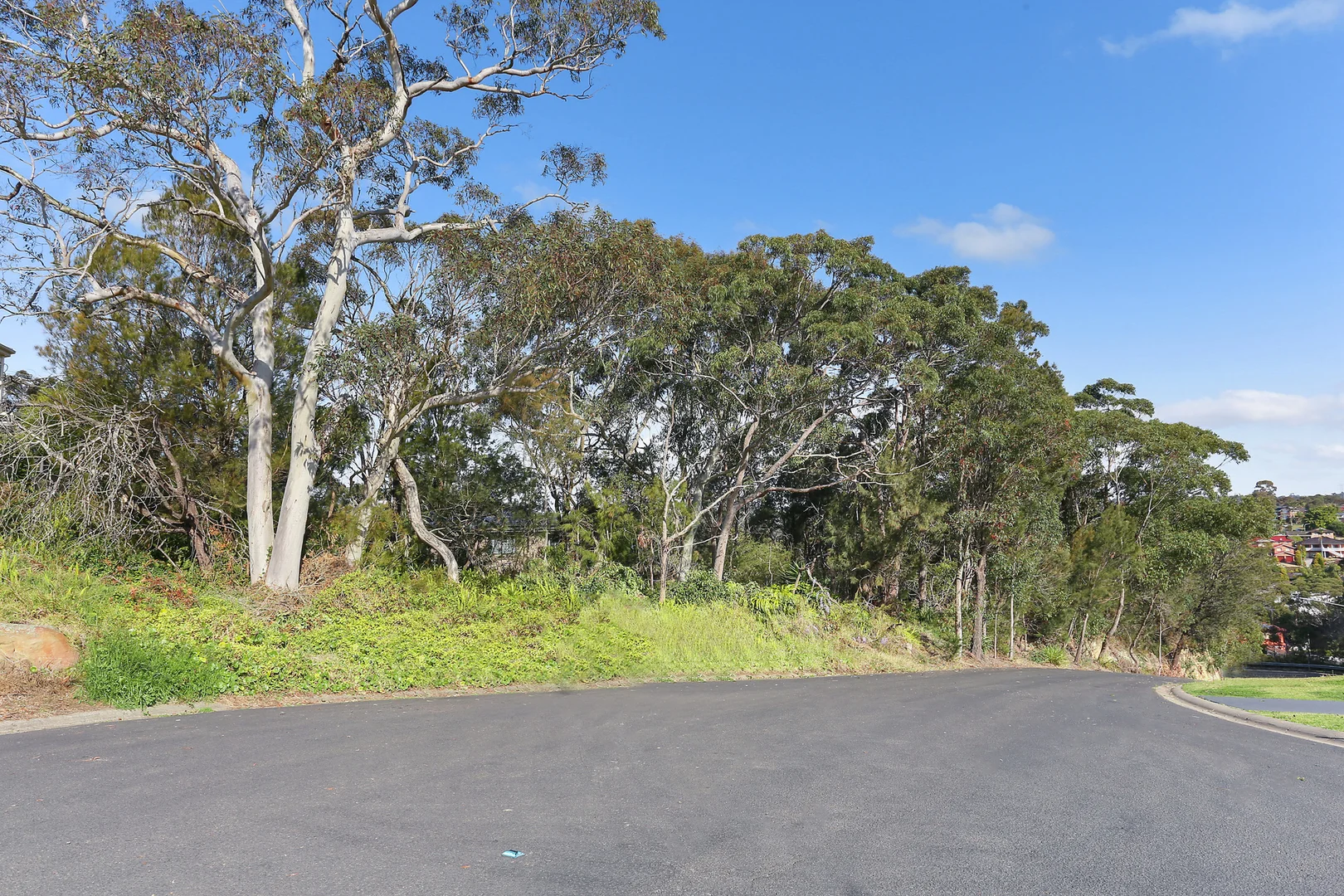 Additional image 4 of 47 Australia Road, Barden Ridge NSW 2234