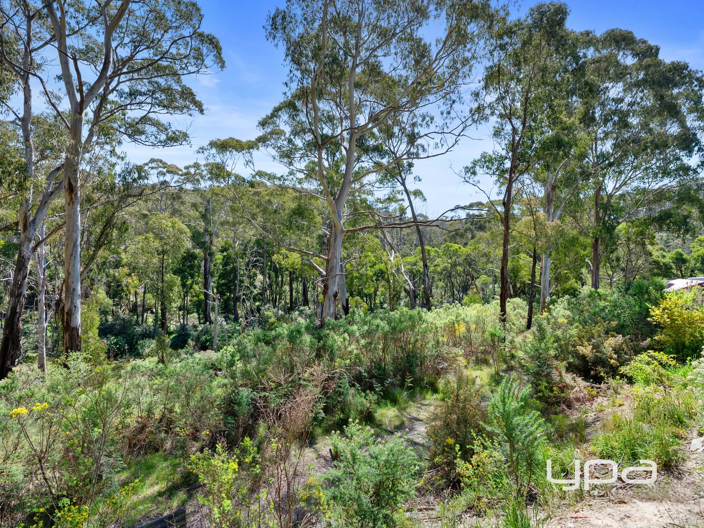 Additional image 15 of 59 Martin Street, Blackwood VIC 3458