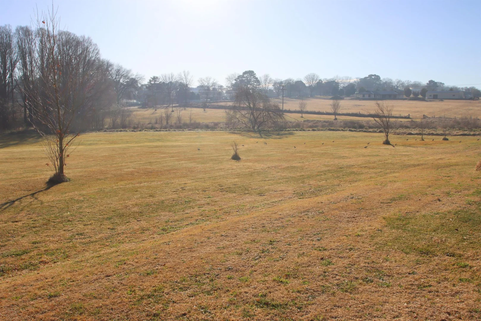 Additional image 6 of Lot 1 Clarence Street, Tenterfield NSW 2372