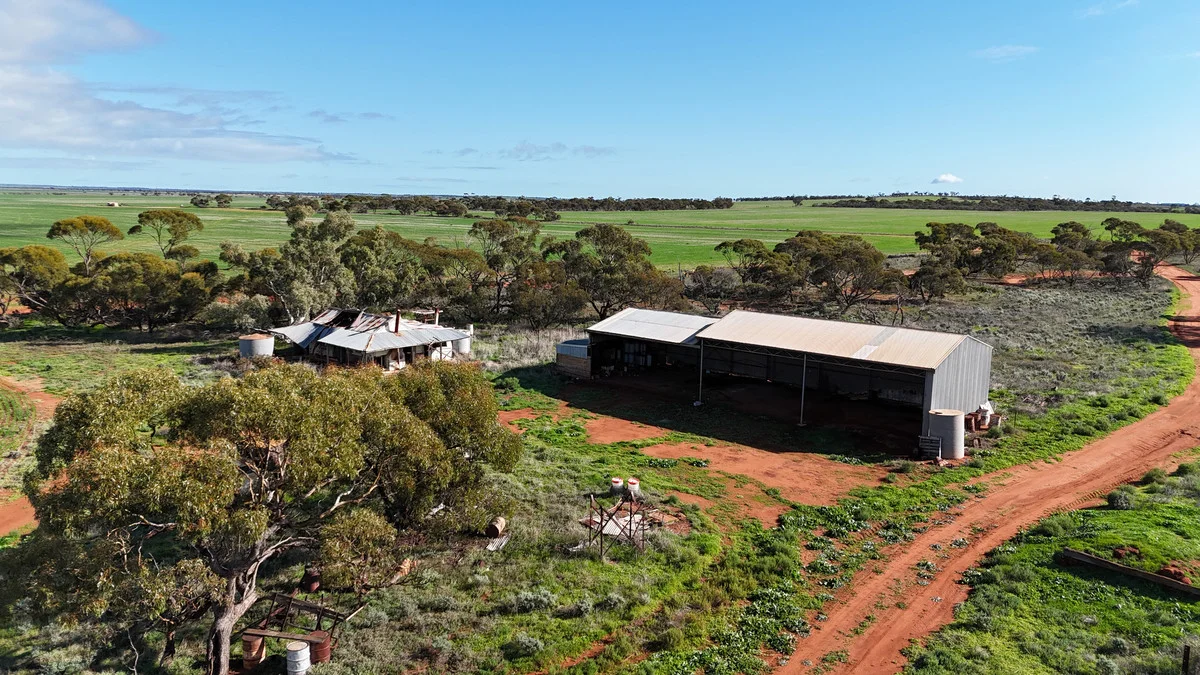 Additional image 8 of 697 Solomon Road, Perenjori WA 6620