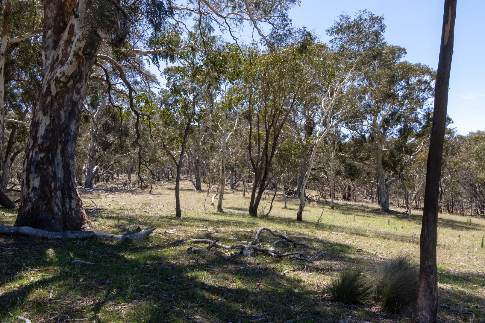 Additional image 5 of 1169 Golspie Road, Taralga NSW 2580