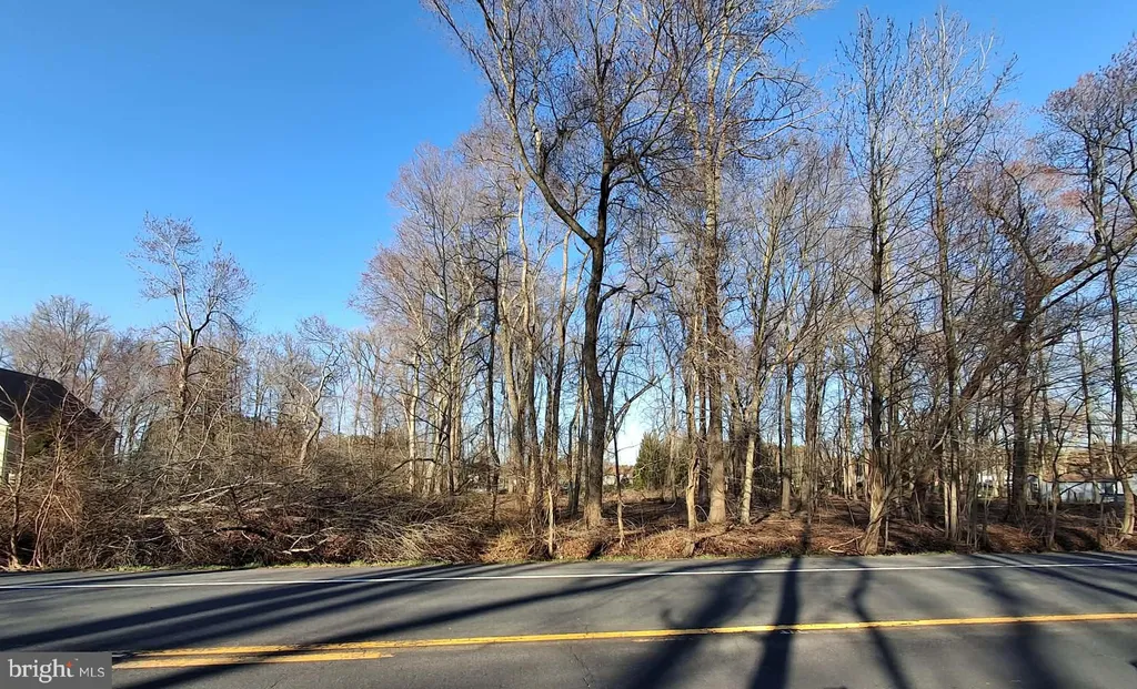 Additional image 3 of Misty Way, Hartly, DE 19953