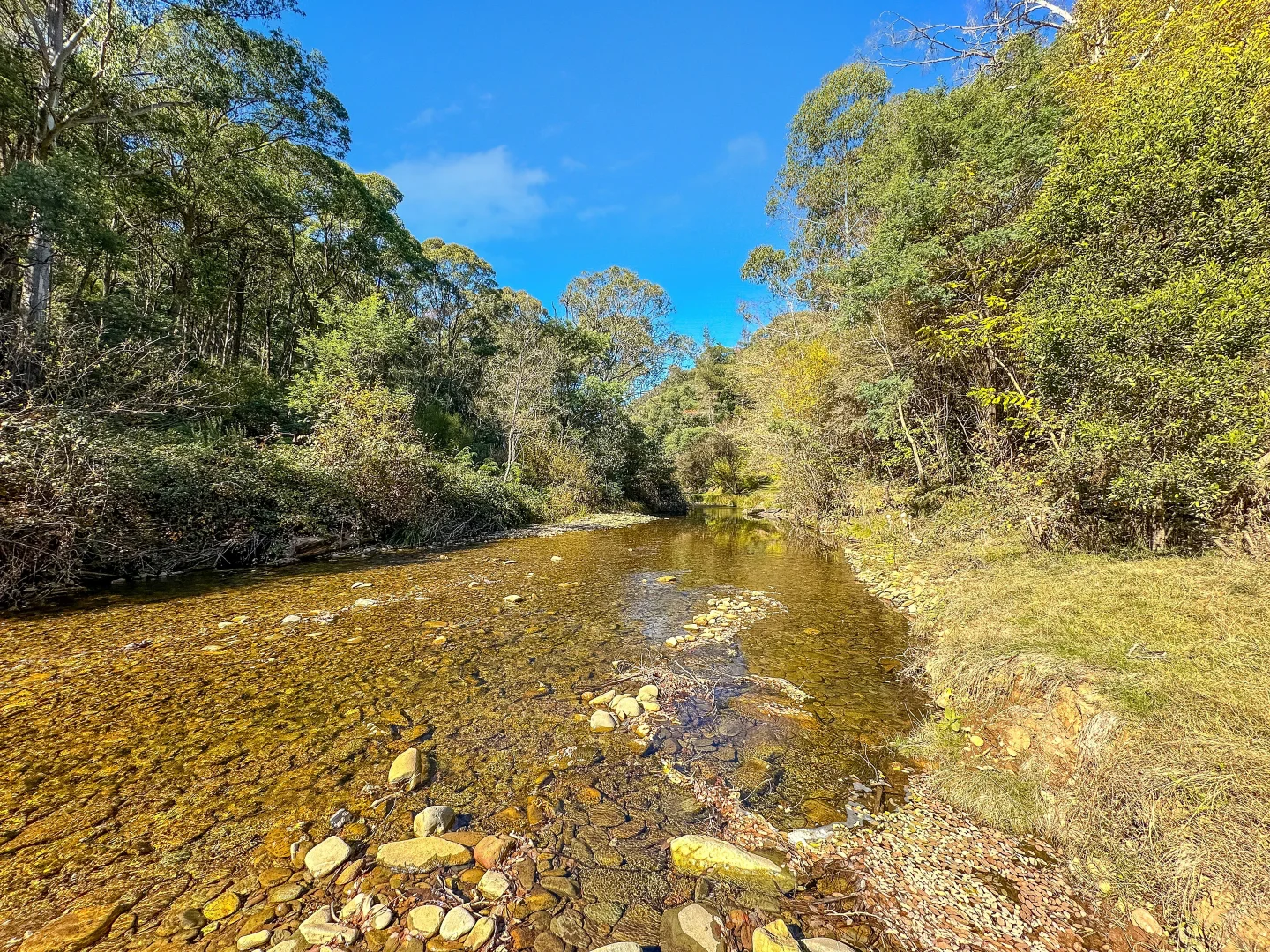 Additional image 7 of CA1/SEC 5 Buckland River Track, Buckland VIC 3740