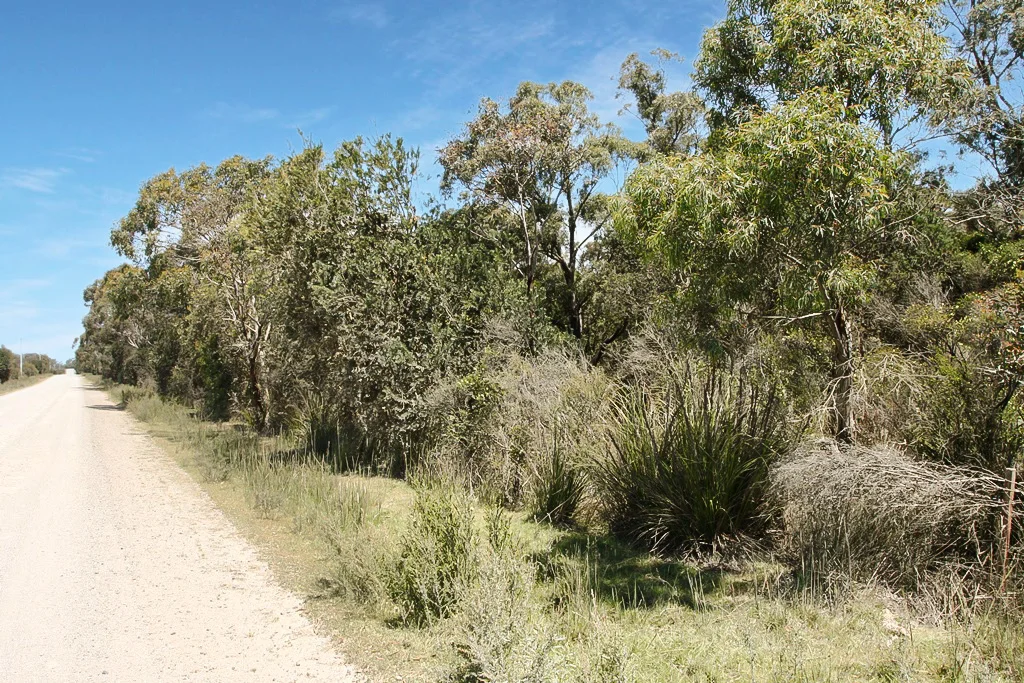 PID 7384430 North Ansons Road, Gladstone TAS 7264