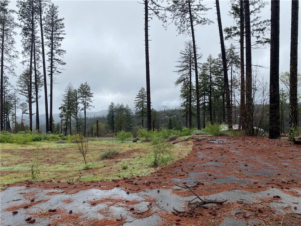 Additional image 44 of 8941 Skyway, Paradise, CA 95969